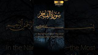 Surah Fajr Recitation That Will Leave You Speechles The Most POWERFUL Surah Listen to in the Morning [upl. by Aurie]