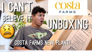 NEW Costa Farms Plant Unboxing White Knight Philodendron from Costa Farms Online Shop [upl. by Leibman680]