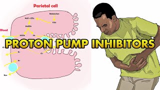 Proton Pump Inhibitors Mechanism of Action [upl. by Ahtael]