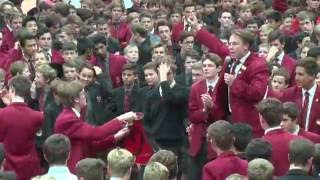 Terrace V Nudgee 2016  The Warm Up [upl. by Ehsom]