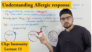 Allergy or Hypersensitivity [upl. by Aniroz]