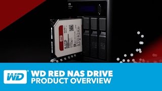 WD Red Hard Drives  Official Product Overview [upl. by Esorylime143]