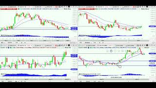 Índice Dolar Petro e Vale na abertura do dia 04 Abril [upl. by Pren]