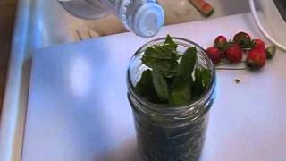 How to Make Mint Extract Noreens Kitchen [upl. by Carilla]