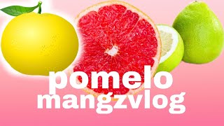 HOW TO PEEL OFF POMELO SKIN  MangzVlog [upl. by Zadack]