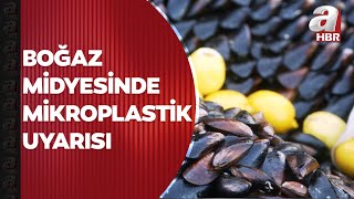 İstanbul Boğazından çıkan midyelerde mikroplastik izi Uzmanlar uyardı  A Haber [upl. by Aeneg]