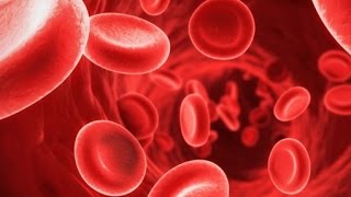 Talassemia quali sono le terapie ferrochelanti utilizzate per evitare laccumulo di ferro [upl. by Aiynot]