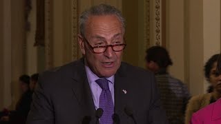 Schumer accuses trump of undermining US health care system [upl. by Raynard508]