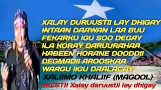 xalay daruustii lay dhigay  magool xalay durusti  xalay durusti  magool xalay durusti la dhigay [upl. by Monteria411]