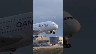 A380 QANTAS landingaviation [upl. by Goldarina]