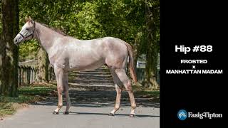 88 FROSTED x MANHATTAN MADAM [upl. by Seko861]