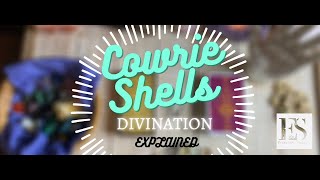 🔮🐚 Cowrie Shells  Divination Explained 🐚🔮✨ [upl. by Suirrad]