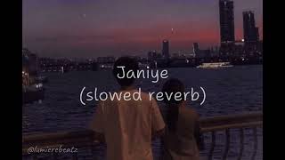 Janiye  slowed  reverb   Vishal Mishra  Rashmeet kaur  Lumierebeatz [upl. by Vivle]