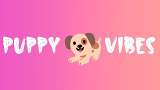 Vibration Sound Your 🐱 Puppy Vibration 🐶 [upl. by Aineles]