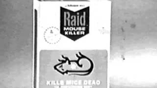 Classic Tv Commercial Raid Mouse amp Rat Killer 1960s [upl. by Okwu14]