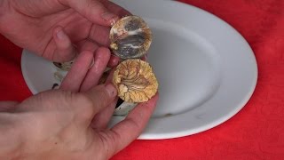 Whats inside Balut [upl. by Ahse]