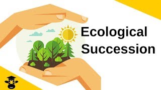 Ecological SuccessionPrimary and Secondary [upl. by Reste]