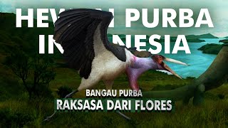 Bagaimana Bangau Purba Raksasa Ini Hidup di Indonesia  Leptoptilos Robustus [upl. by Ellehcrad]