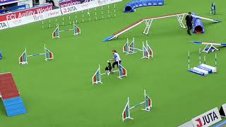 ESTONIA Agility Team Intermediate FCI AWC 2023 [upl. by Ecnarretal]