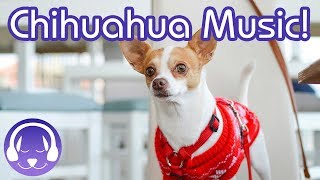 Music for Chihuahuas Calming Music to Relax Your Chihuahua Dog [upl. by Asserac]