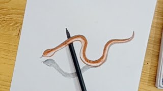 Snake Drawing 3d Snake Art  3D snake Drawing unbelievable technique [upl. by Ititrefen]