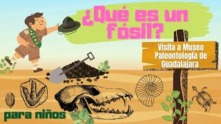 ¿Qué es un fósil para niños visita al museo de paleontología de Guadalajara [upl. by Falk788]