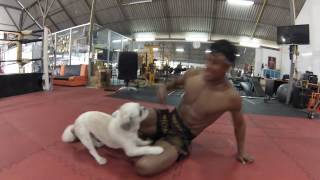 Banchamek Gym Muay Thai  Buakaw gym [upl. by Devi]