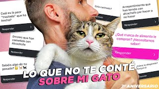 LO QUE NUNCA TE CONTÉ SOBRE MI GATO ALCACHOFO🐯 🐾 Preguntas y respuestas⁉️ Especial 7º aniversario 🎉 [upl. by Winters]