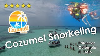 Cozumel Snorkeling Tour Palancar Columbia amp El Cielo  August 2022 [upl. by Center]