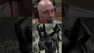 Huge Congo ape joeroganexperience storytime bondoape congo shorts [upl. by Nivert]