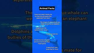 Some Cool Facts about Animals fact facts nature animals [upl. by Ahseiyk616]