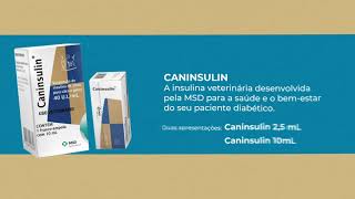 MSD Saúde Animal apresenta a única insulina veterinária do mercado Caninsulin [upl. by Anaj]