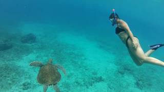 Snorkelen op Curacao Playa Grandi [upl. by Aisetra]