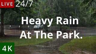 Heavy Rainfall at the Park [upl. by Hoeve]