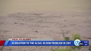 A solution to the algal bloom problem in CNY [upl. by Nahamas]