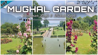 Mughal Garden  Shalimar Bagh amp Nishat Bagh  Srinagar  Kashmir Trip [upl. by Fabrianne]