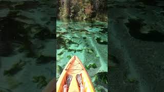 Kayaking at Weeki Wachee Springs in Florida shorts [upl. by Conn]