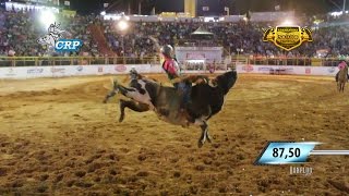 Adamantina Rodeo Festival 2016  FINAL [upl. by Einahpet]