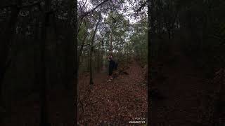 Bush walking in the National Park [upl. by Lamiv]