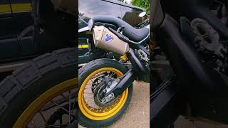 Desert Sled annual service break down desertsled ducatiscrambler [upl. by Airrehs]