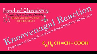 Knoevenagal Reaction Benzaldehyde  Malonic Acid  Cinnamic Acid  Organic Chemistry  Class12 [upl. by Joleen]