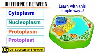 Difference among Cytoplasm Protoplasm Nucleoplasm and Protoplast  J Biology [upl. by Juliet]