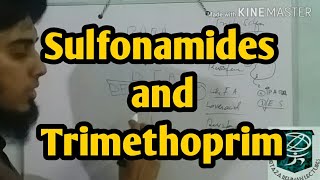 Sulfonamides and trimethoprim  antibiotics  pharmacology by Dr Irtaza Rehman [upl. by Eneryc929]