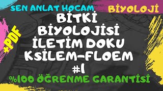 BİTKİ BİYOLOJİSİ KONU ANLATIMI 13  İLETİM DOKU KSİLEMFLOEM 1  AYT BİYOLOJİ  ✅ [upl. by Bunch792]