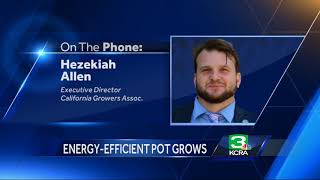 How commercial marijuana could alter California’s energy demands [upl. by Liris]