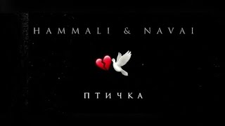 HammAli amp Navai  Птичка [upl. by Ytineres]