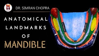 Anatomical Landmarks Of Mandible l Mandibular Landmarks l Prosthodontics [upl. by Photina]