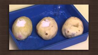 Potato experiment  Osmosis  Biology [upl. by Brawner]