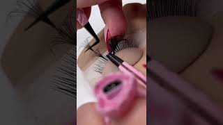 Eyelash extensions manufacturer lashessupplier lashextensions [upl. by Norby938]