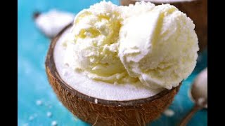 How to Make Vegan Ice Cream With Coconut Milk Home Recipe NonDairy with Kitchenif Ice Cream Maker [upl. by Idnaj]